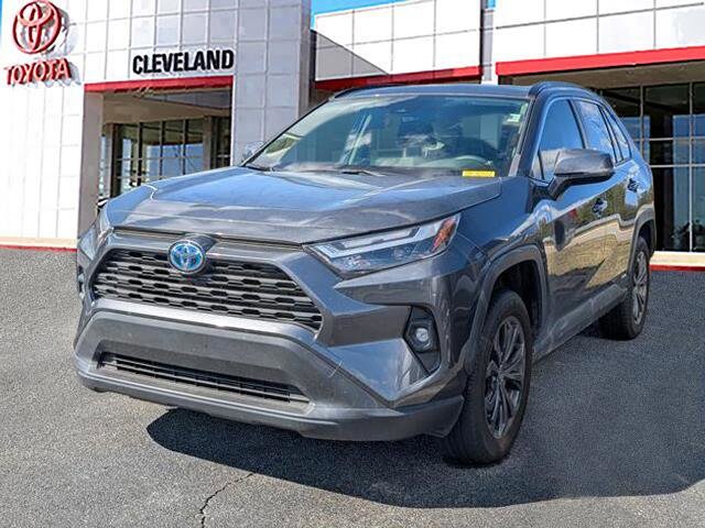 2024 Toyota RAV4 Hybrid XLE Premium photo 4