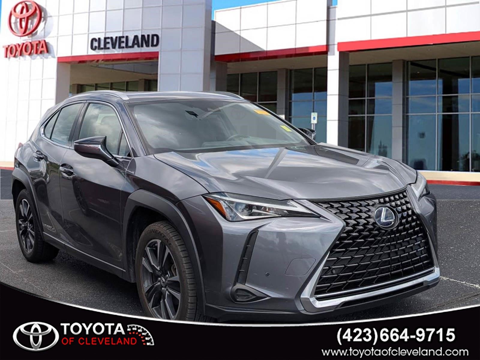 2021 Lexus UX 300h 250h AWD's photo