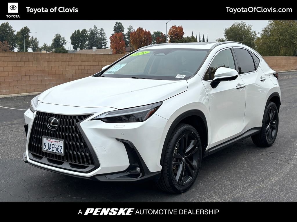 2024 Lexus NX PHEV 450h+'s photo