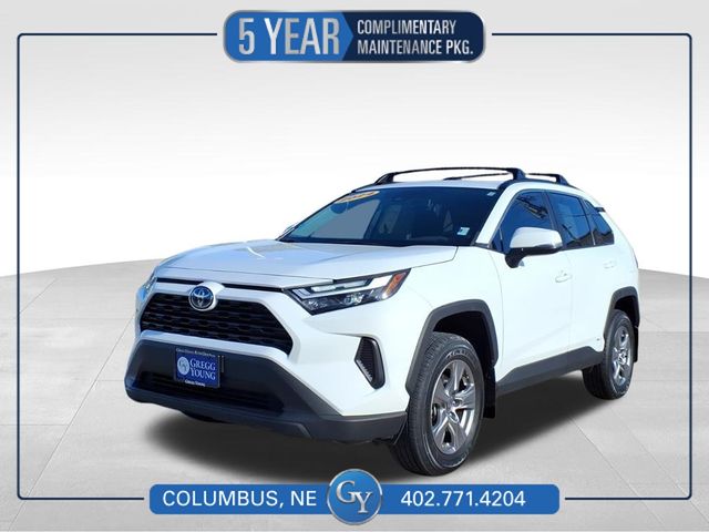 2024 Toyota RAV4 XLE's photo