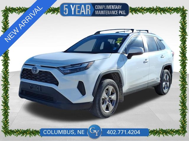 2024 Toyota RAV4 XLE's photo