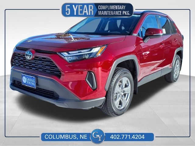 2025 Toyota RAV4 XLE's photo