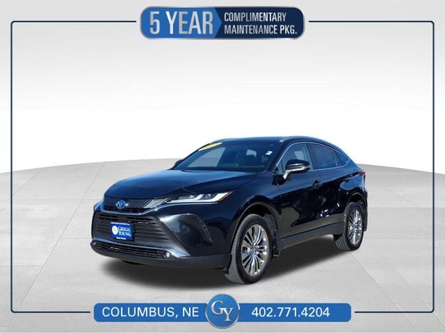 2024 Toyota Venza XLE's photo