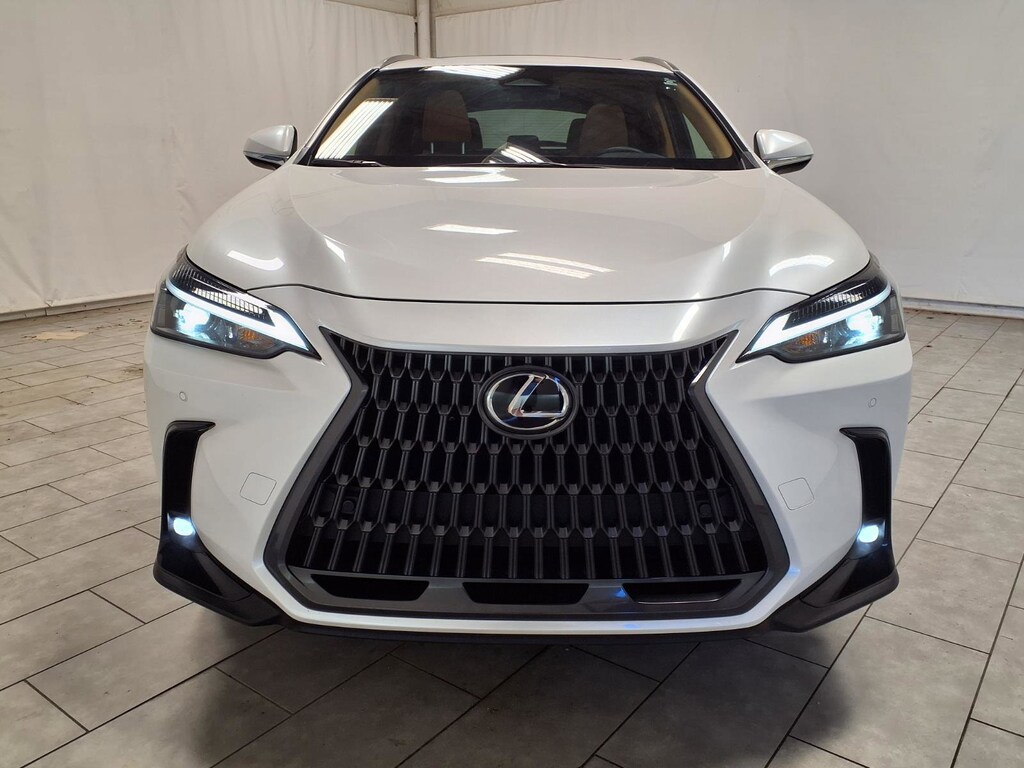 2025 Lexus NX 250 Premium photo 2