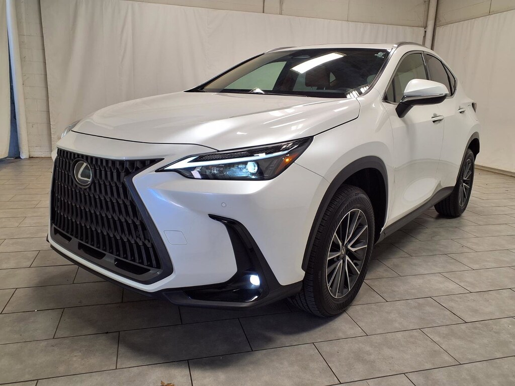2025 Lexus NX 250 Premium photo 3