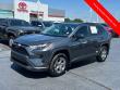 Used 2025 Toyota RAV4 Hybrid LE SUV