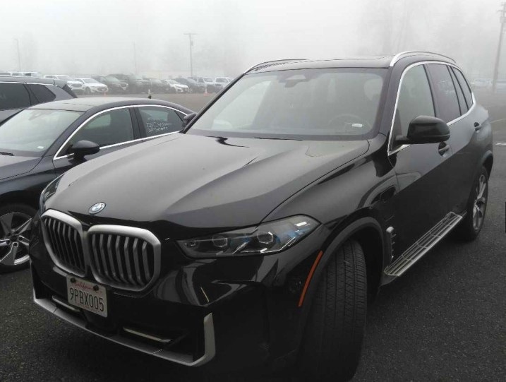 2025 BMW X5 50e's photo