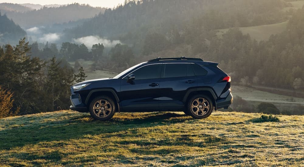 A blue 2024 Toyota RAV4 Hybrid Woodland Edition parked on a grassy hill.