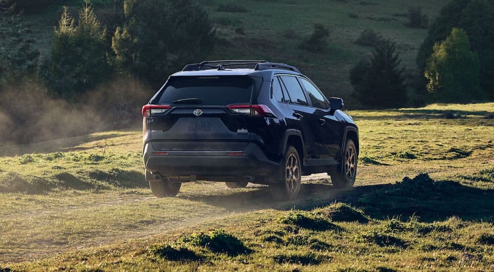 A blue 2023 Toyota RAV4 is shown from the rear at an angle.