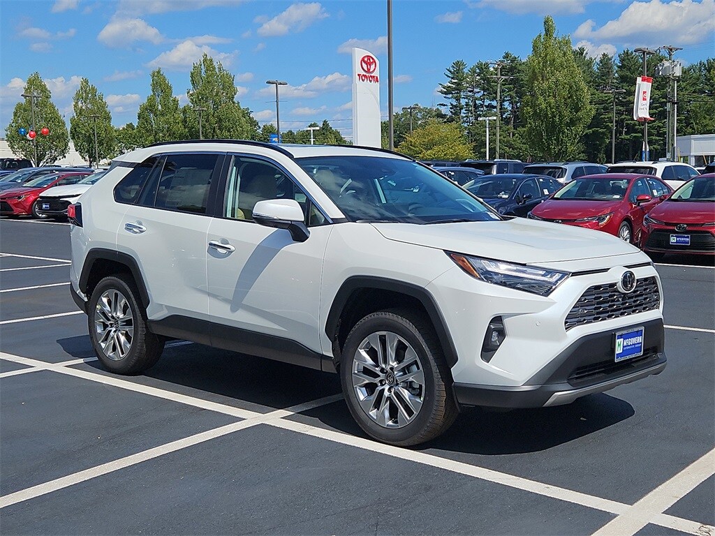 2025 Toyota RAV4 Limited photo 3