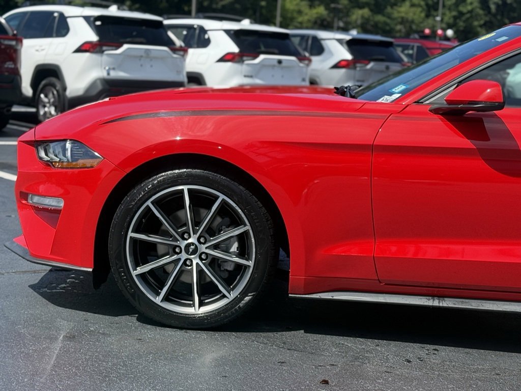 2019 Ford Mustang EcoBoost Premium photo 2