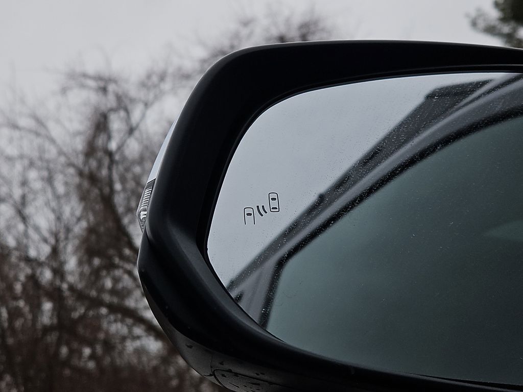 2025 Toyota Tacoma Limited - Photo 6