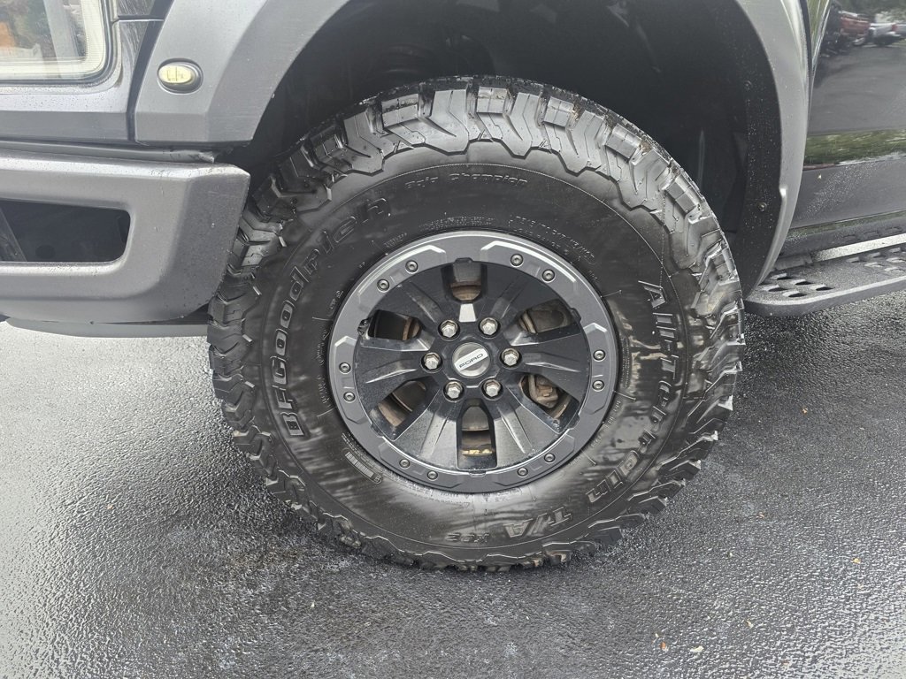 2017 Ford F-150 Raptor photo 2