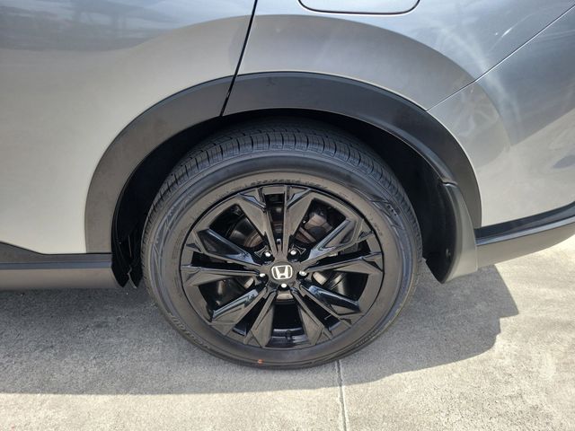 Photo 6