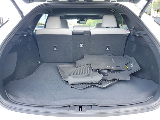 2023 Lexus RX 350 - Photo 6