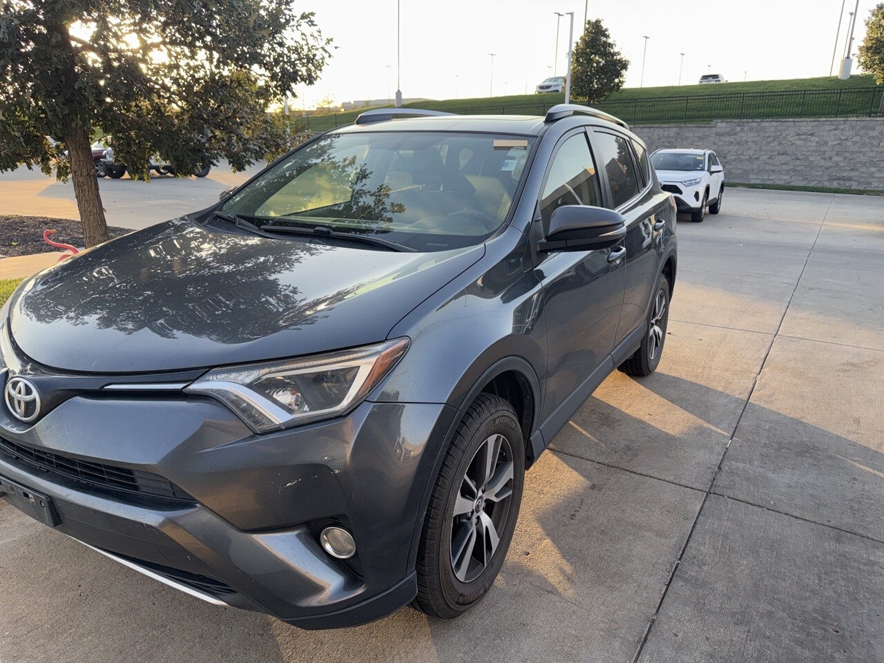 2016 Toyota RAV4 XLE photo 2