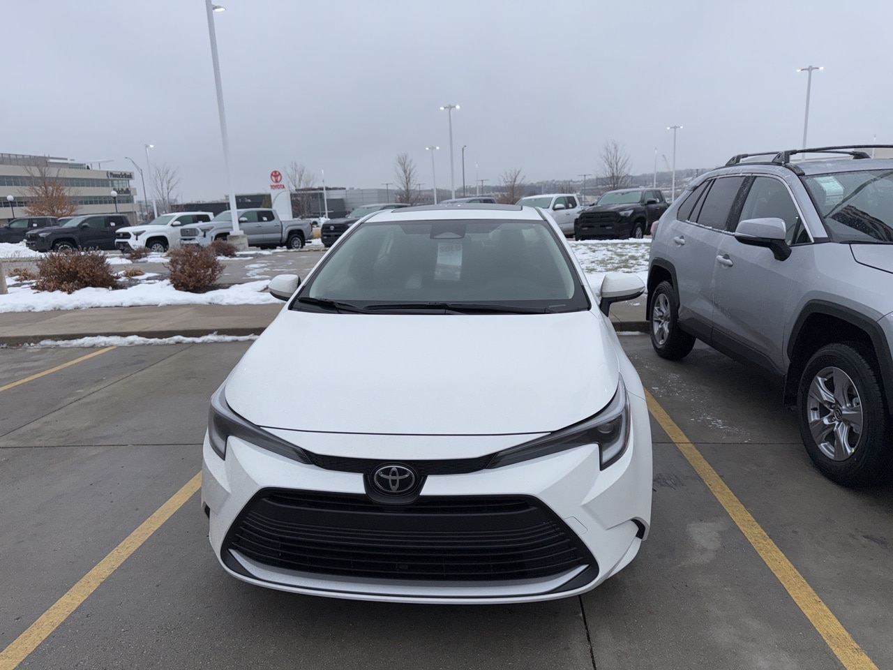 2026 Toyota Corolla XLE's photo