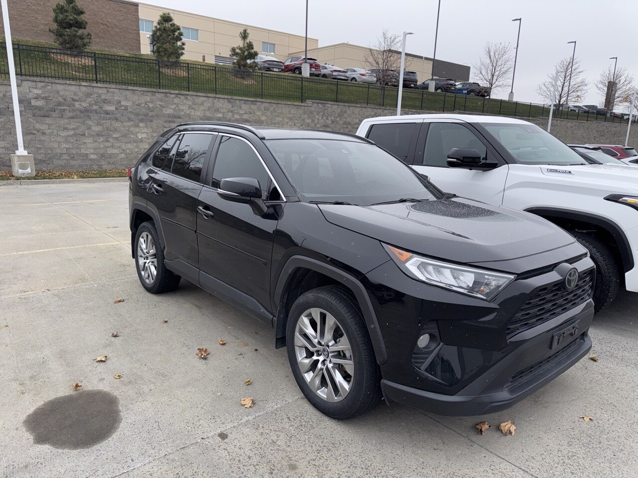 2020 Toyota RAV4 XLE Premium photo 3