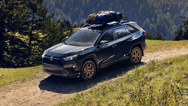 2025ToyotaRav4.png