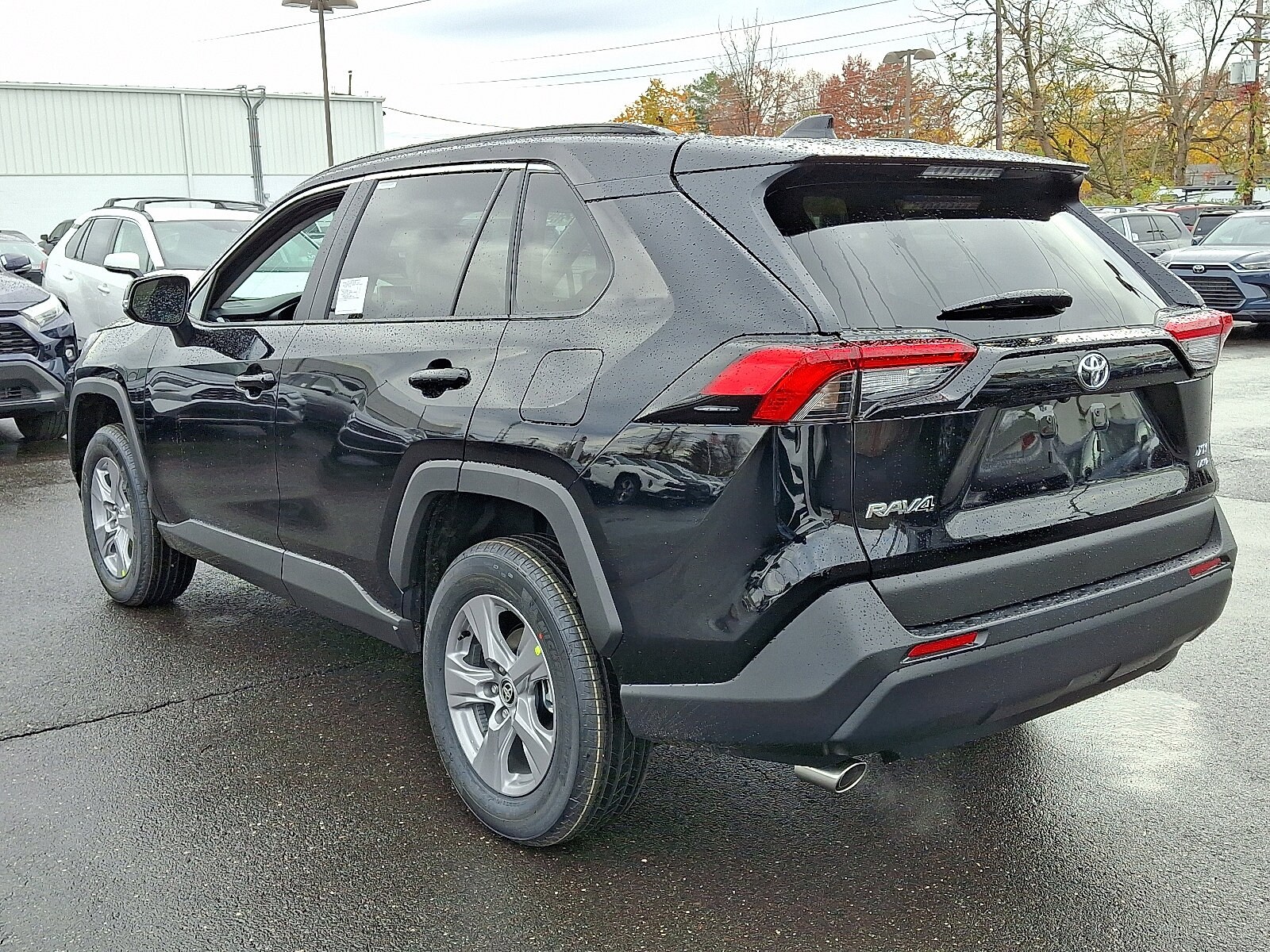 2025 Toyota RAV4 XLE photo 3