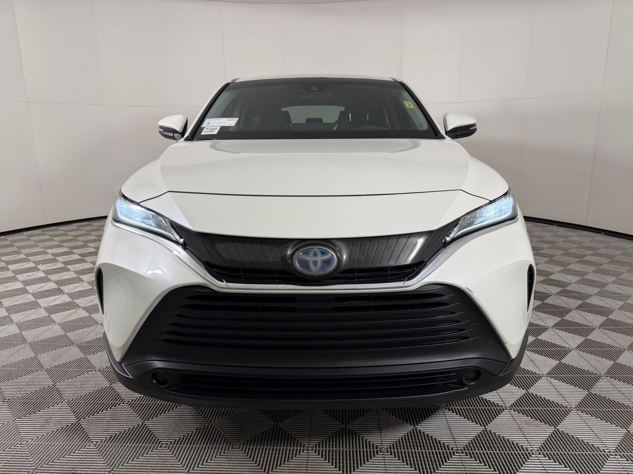 Venza LE SUV
