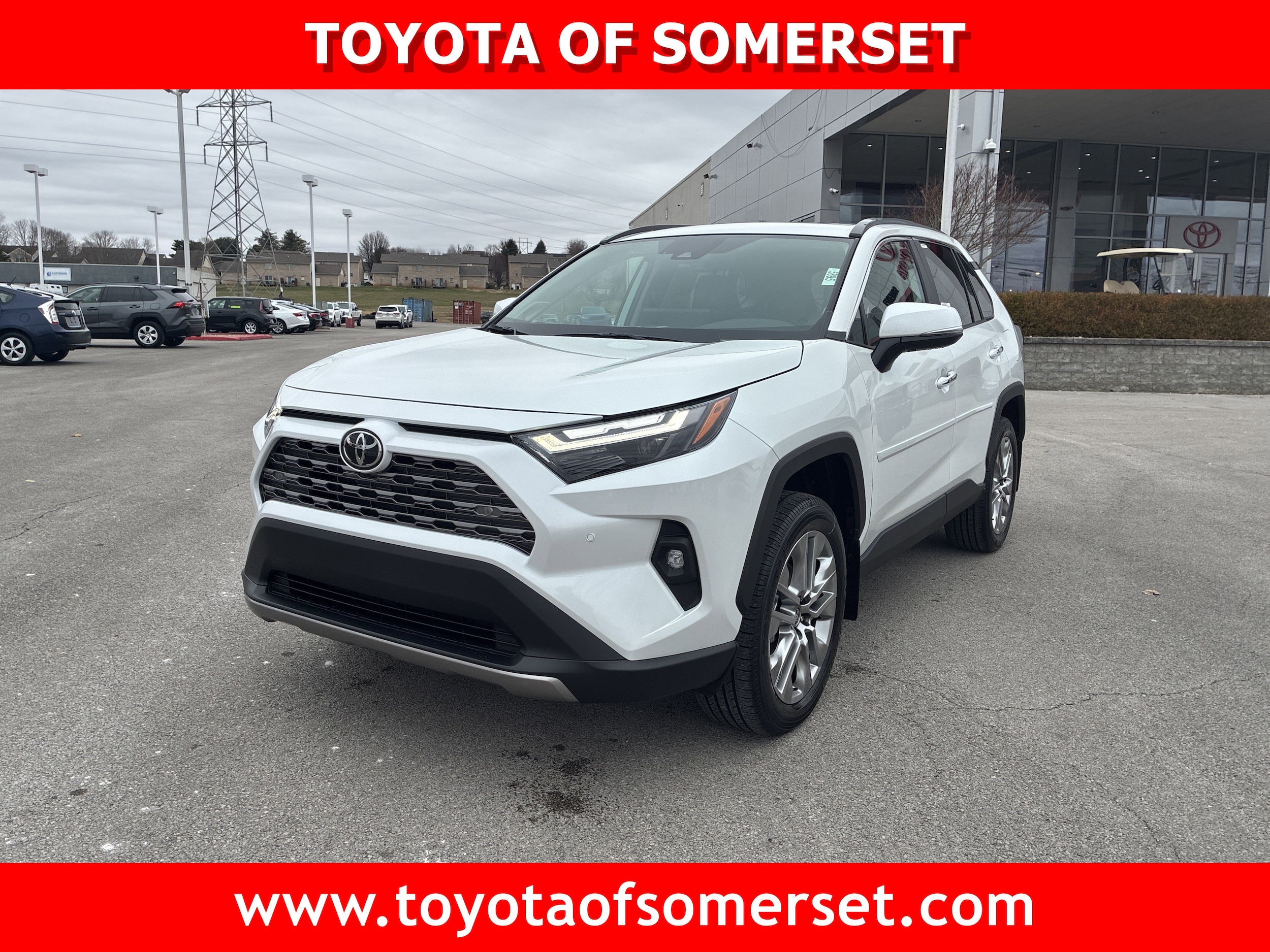 2025 Toyota RAV4 Limited's photo