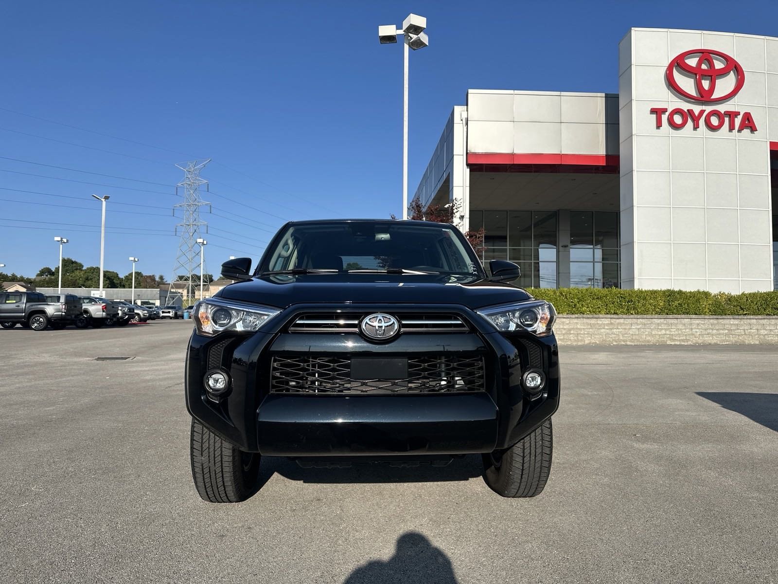 Certified 2024 Toyota 4Runner SR5 with VIN JTEMU5JRXR6253896 for sale in Somerset, KY