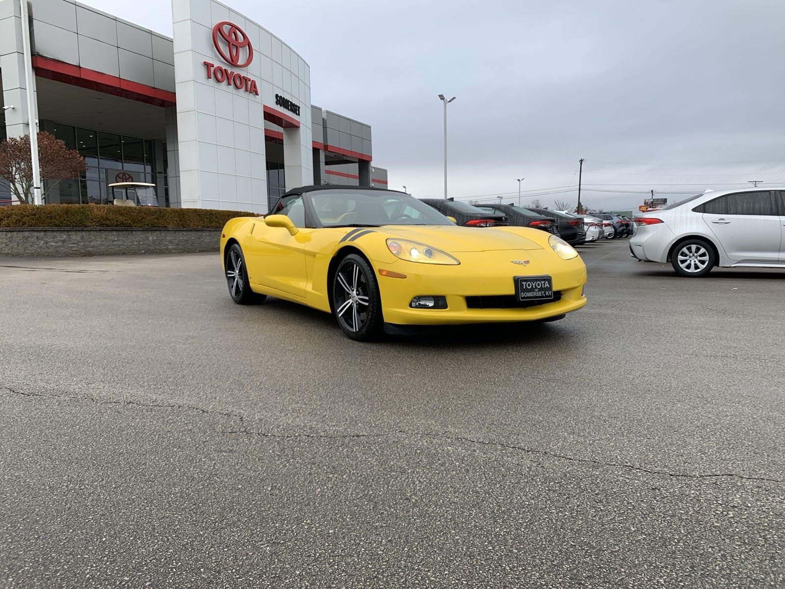 Used 2008 Chevrolet Corvette Base with VIN 1G1YY36W185101502 for sale in Somerset, KY