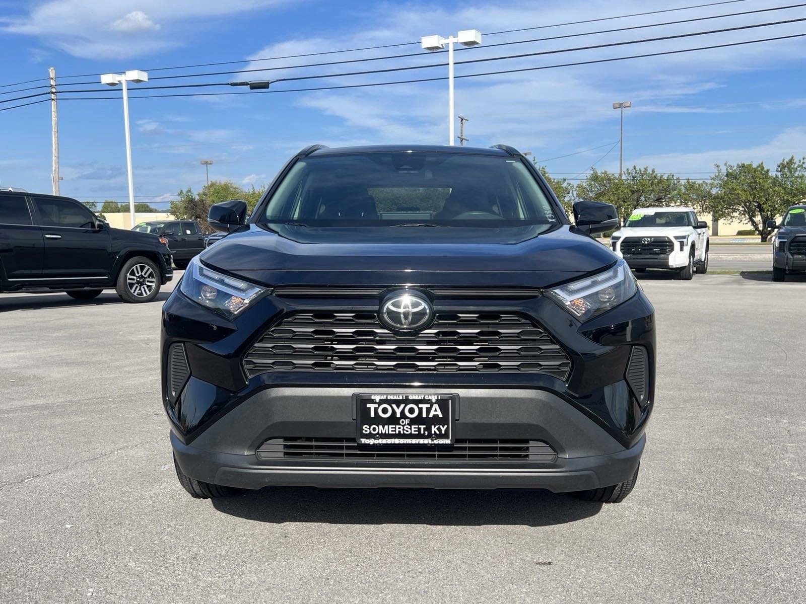 Certified 2023 Toyota RAV4 XLE with VIN 2T3P1RFV3PW384042 for sale in Somerset, KY