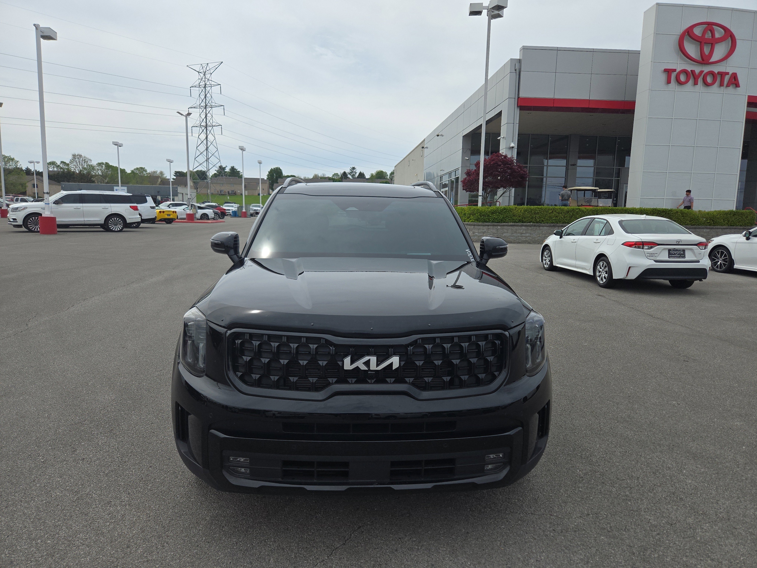 Used 2024 Kia Telluride SX Prestige X-Pro with VIN 5XYP5DGC4RG486360 for sale in Somerset, KY