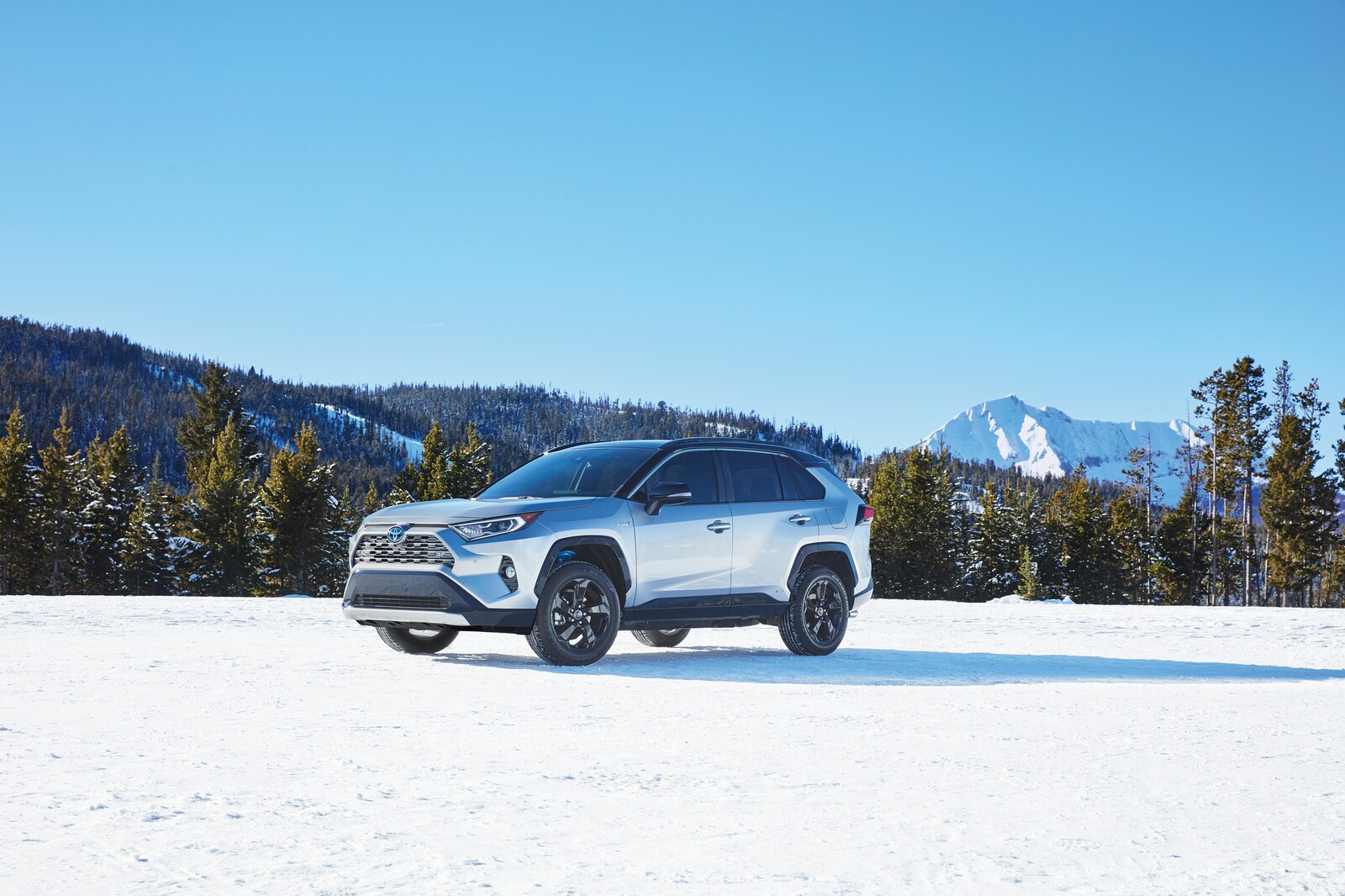 New Toyota Hybrid Cars & SUVs Vineland, NJ Toyota of