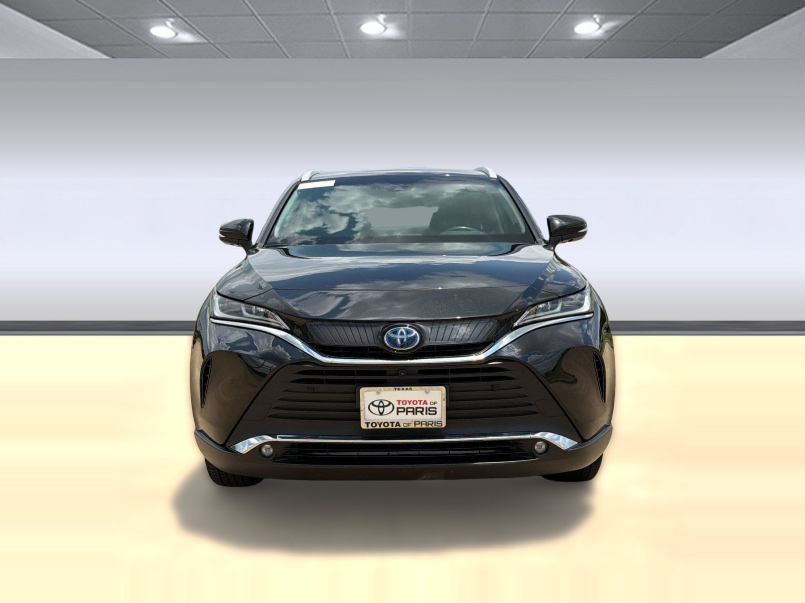 Venza Limited SUV