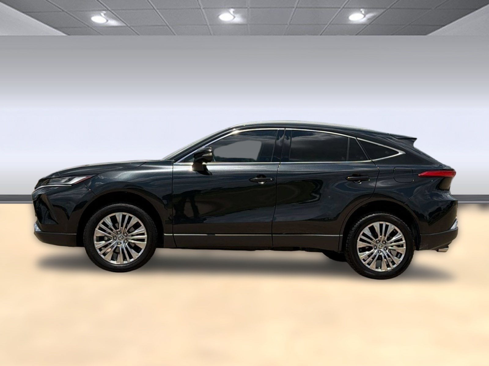 Venza Limited SUV