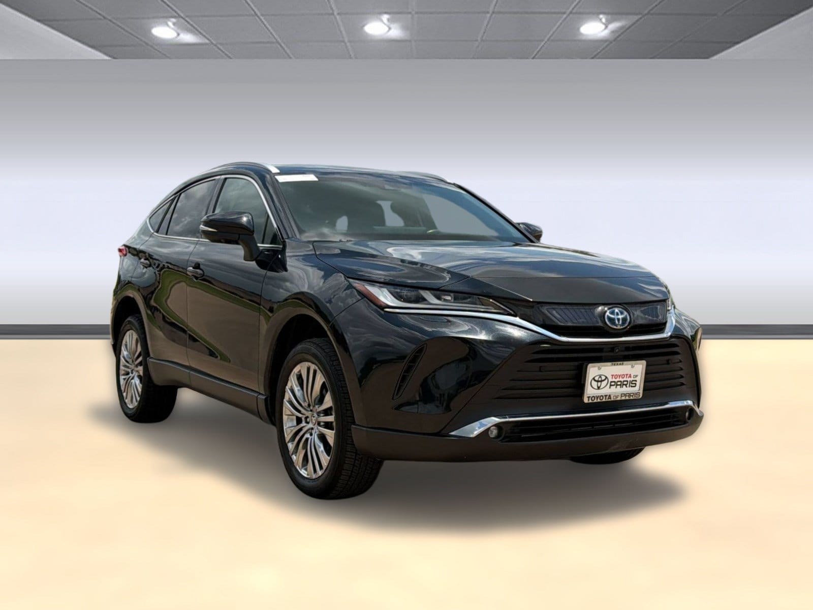 Venza Limited SUV