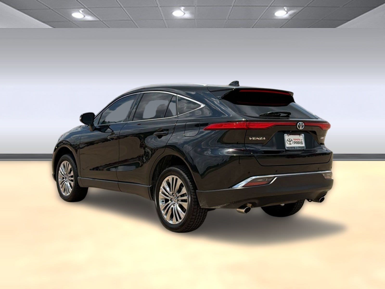 Venza Limited SUV