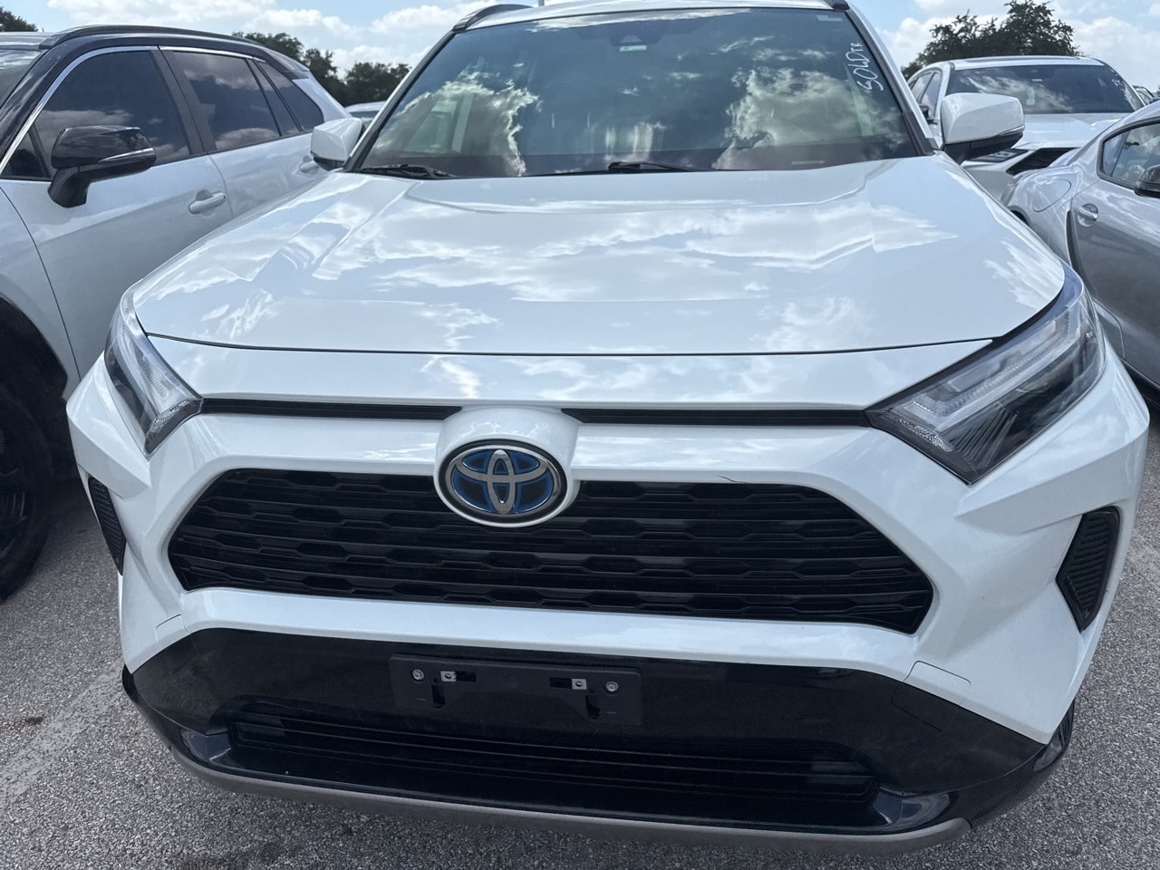 Used 2022 Toyota RAV4 SE with VIN JTM16RFV7ND518536 for sale in Northfield, Minnesota