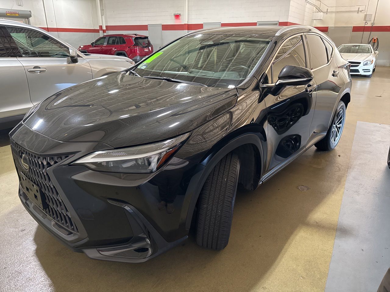 2024 Lexus NX 350 350 Premium AWD's photo