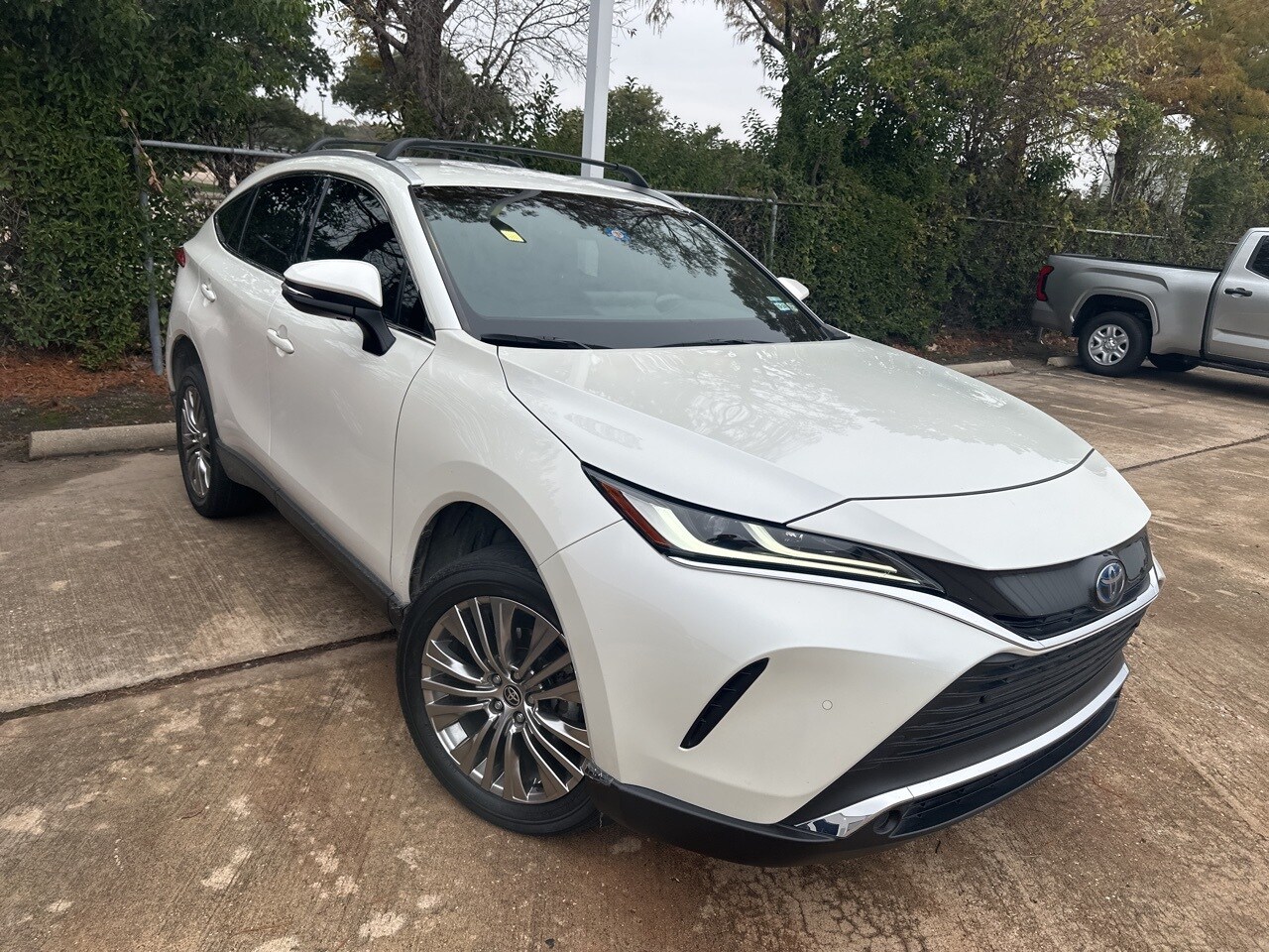 2022 Toyota Venza XLE photo 3