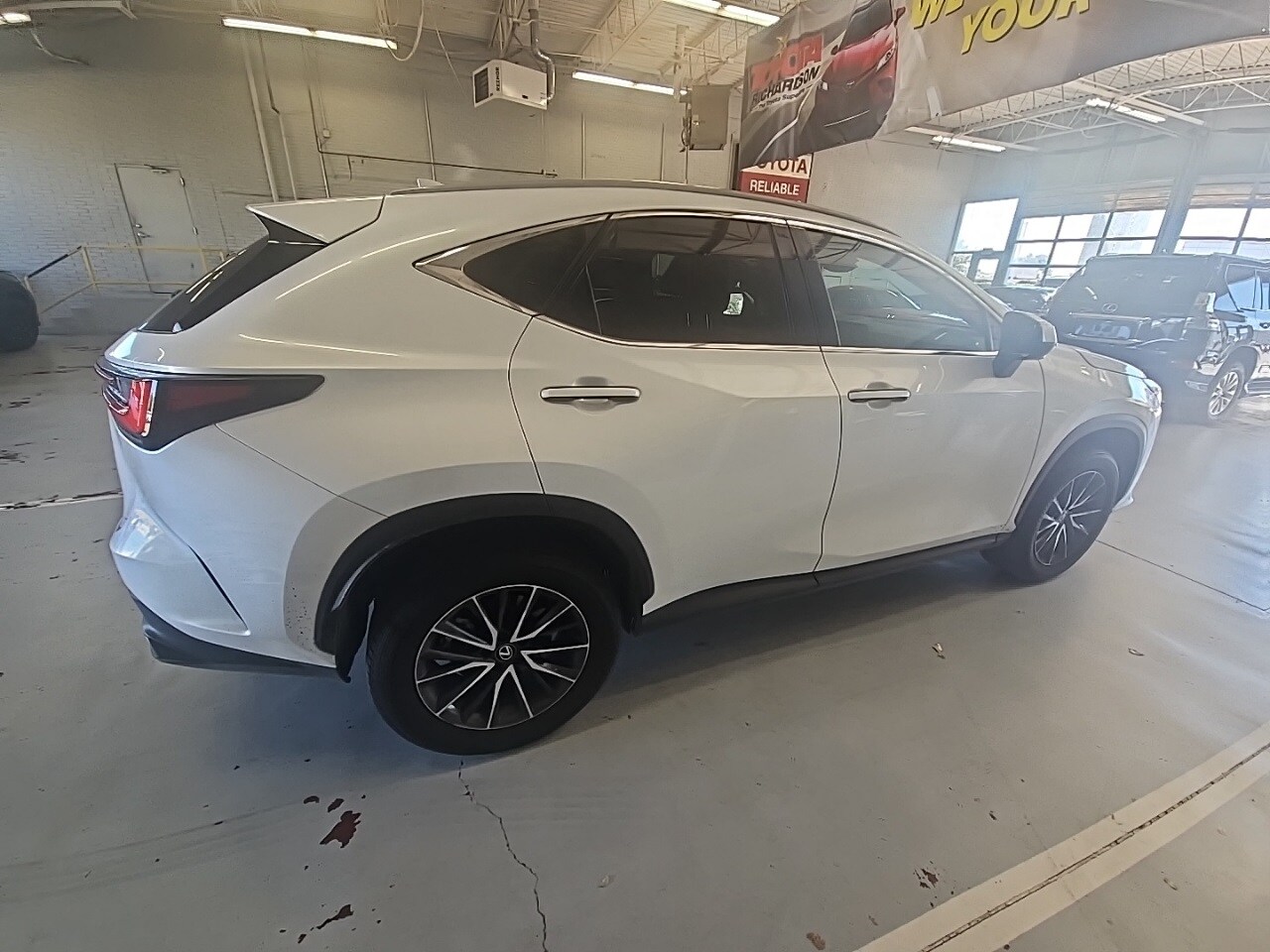 2024 Lexus NX 350h Premium photo 4