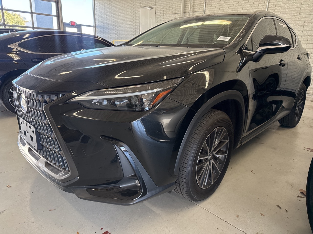 2024 Lexus NX 350's photo