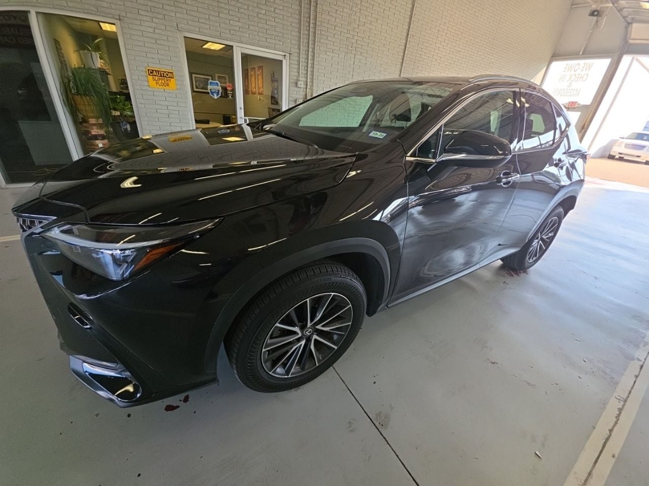 2024 Lexus NX 350h's photo