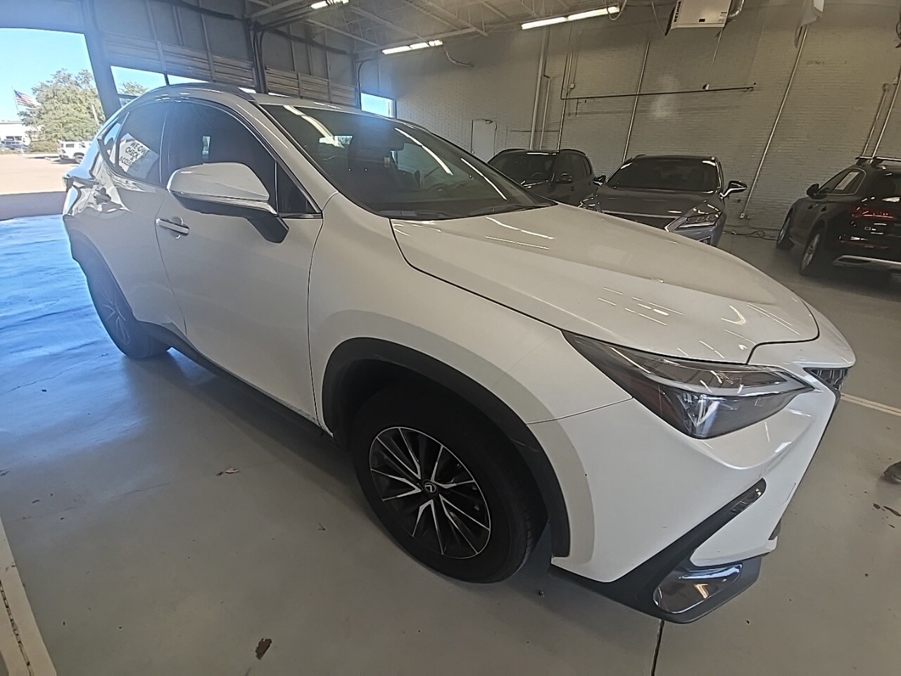2024 Lexus NX 350h Premium photo 3