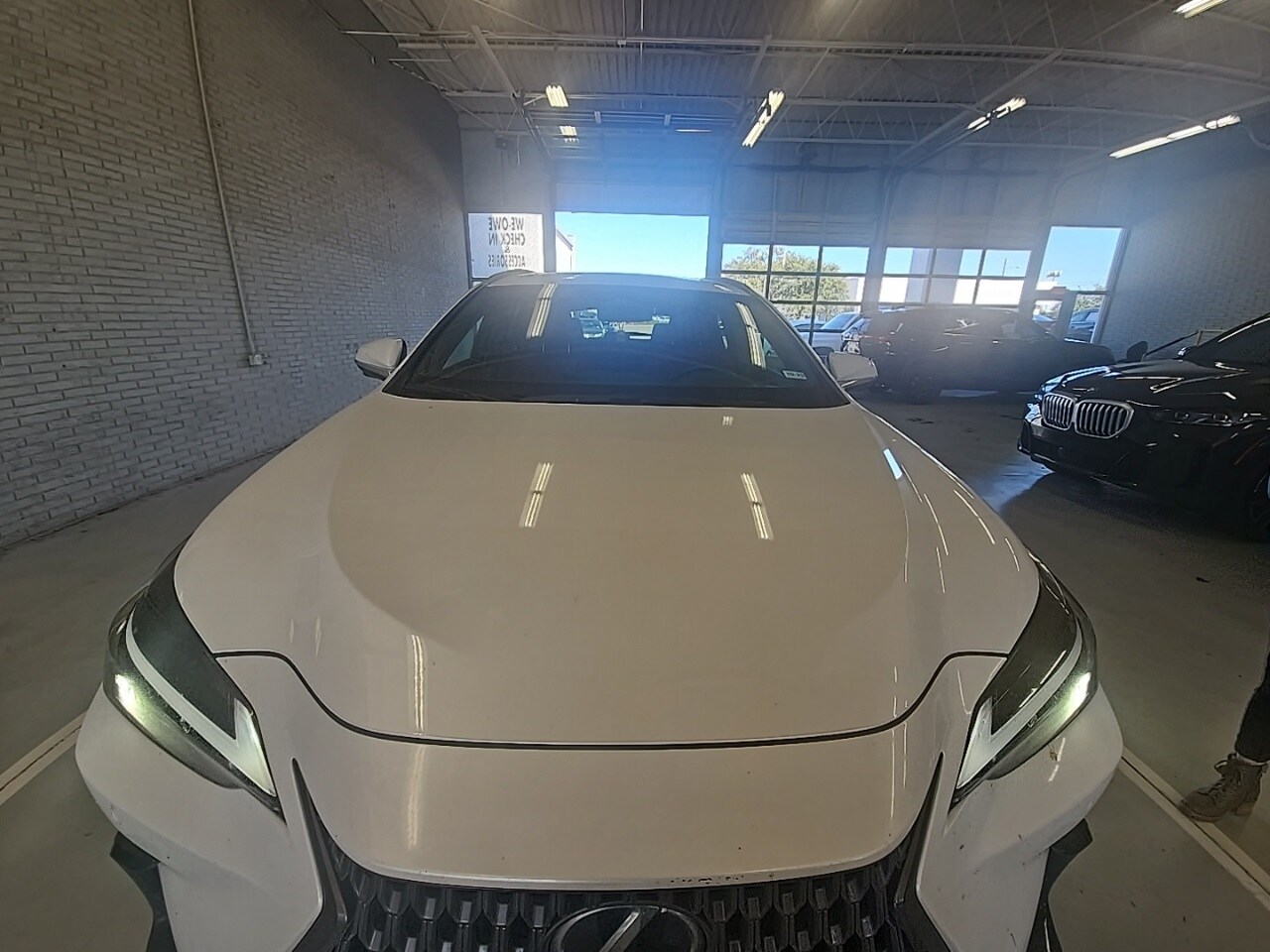 2024 Lexus NX 350h Premium photo 2