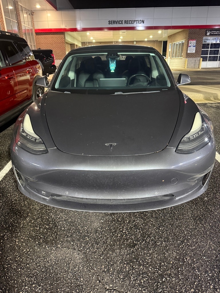 2019 Tesla Model 3 Base's photo