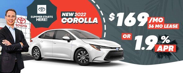 TSA 53221-22 ART - Summer Starts Here - Corolla - 590x236.jpg