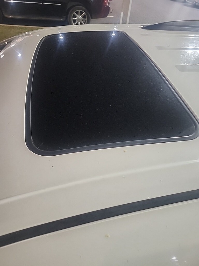 2019 Toyota Sienna SE photo 4