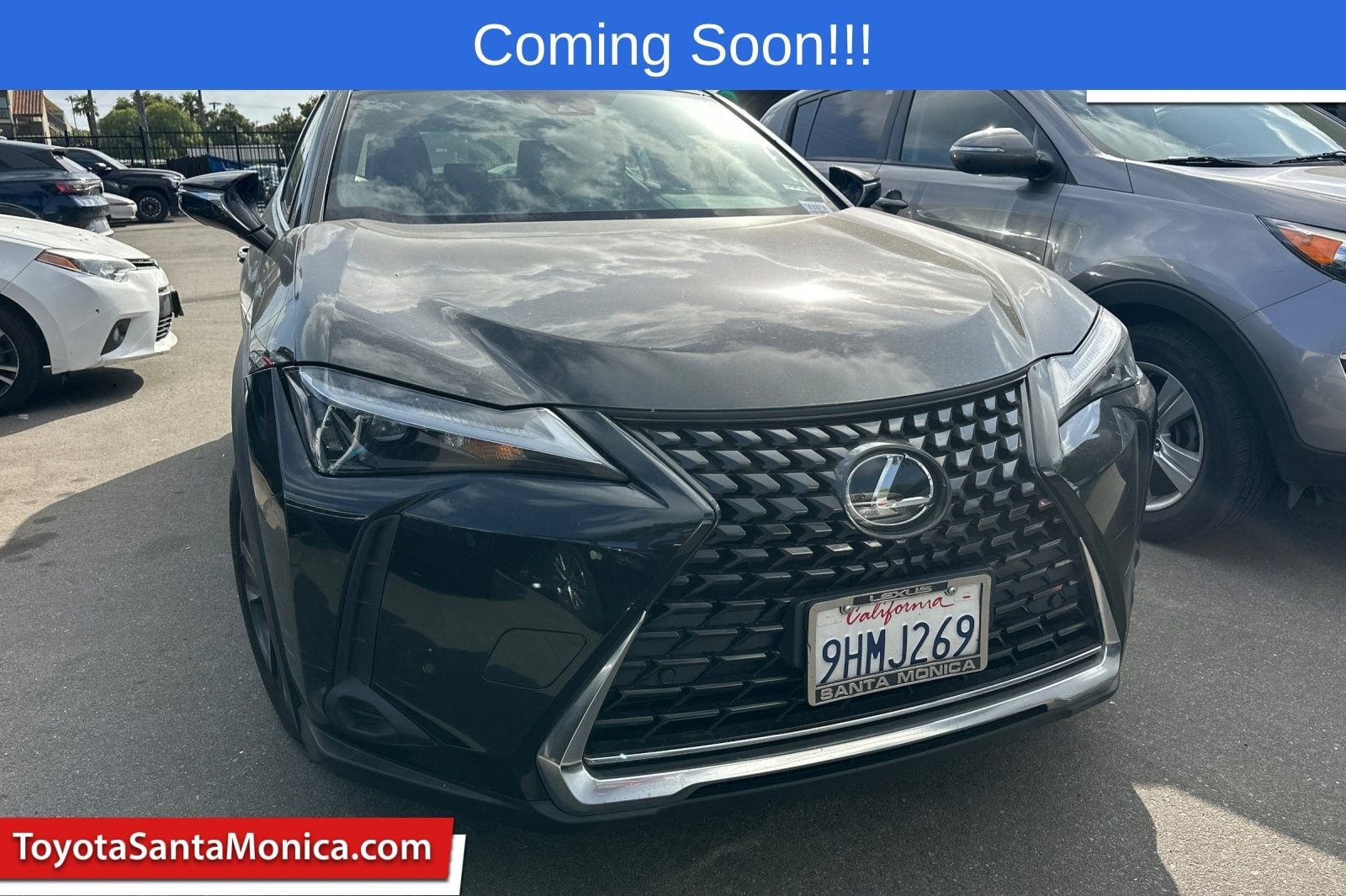2024 Lexus UX 300h 250h's photo