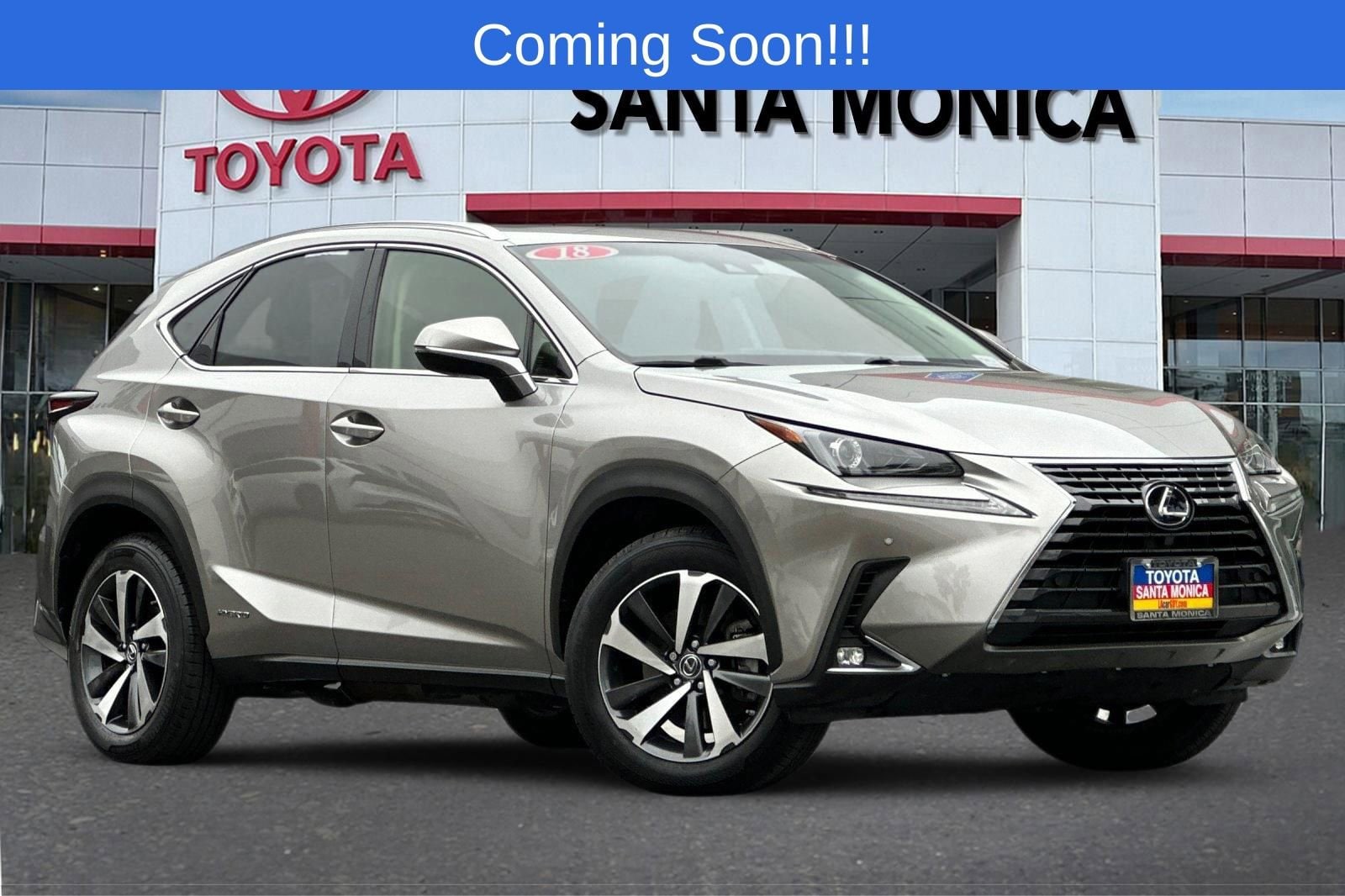 2018 Lexus NX 350 300h AWD's photo