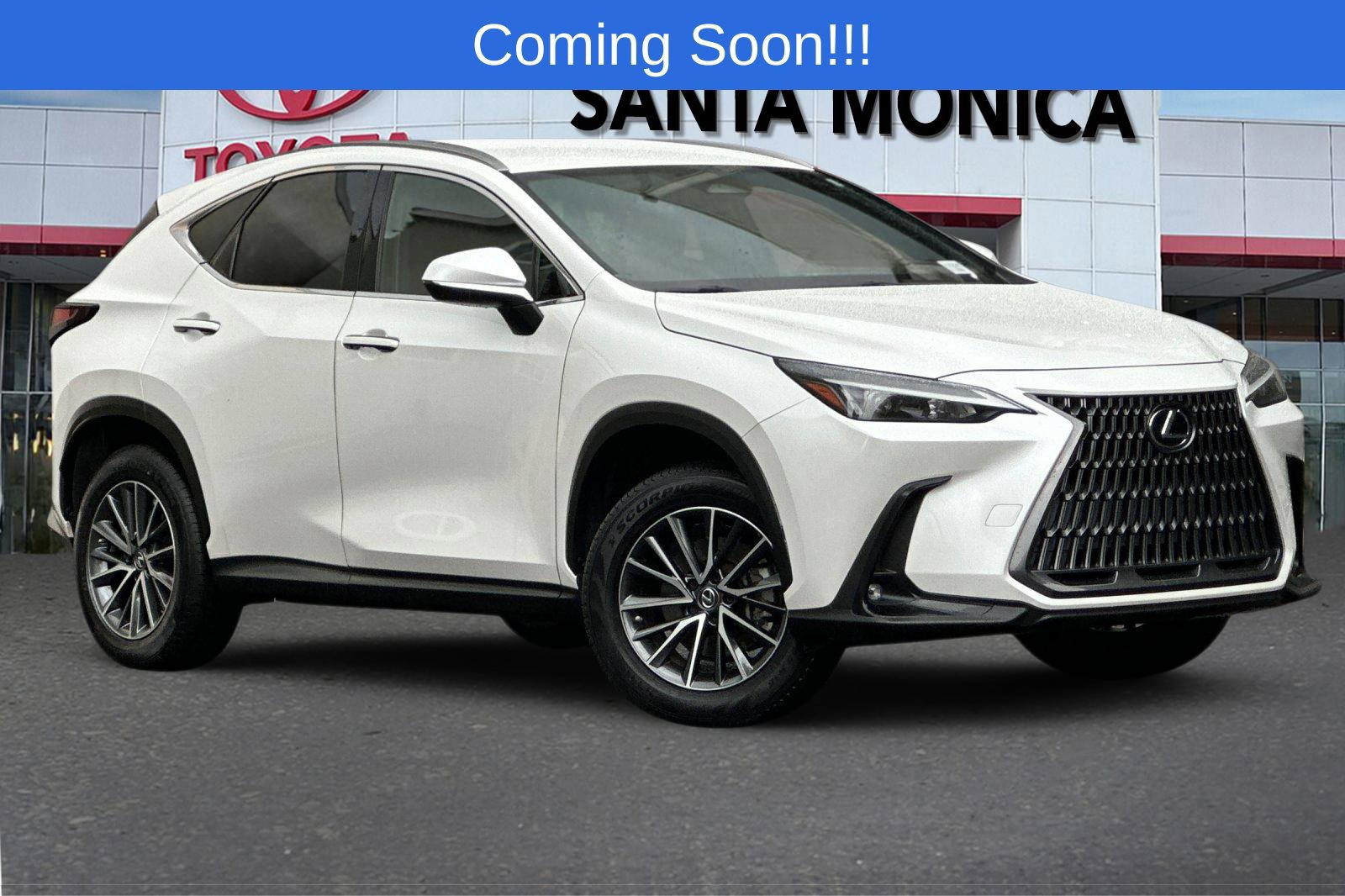 2022 Lexus NX