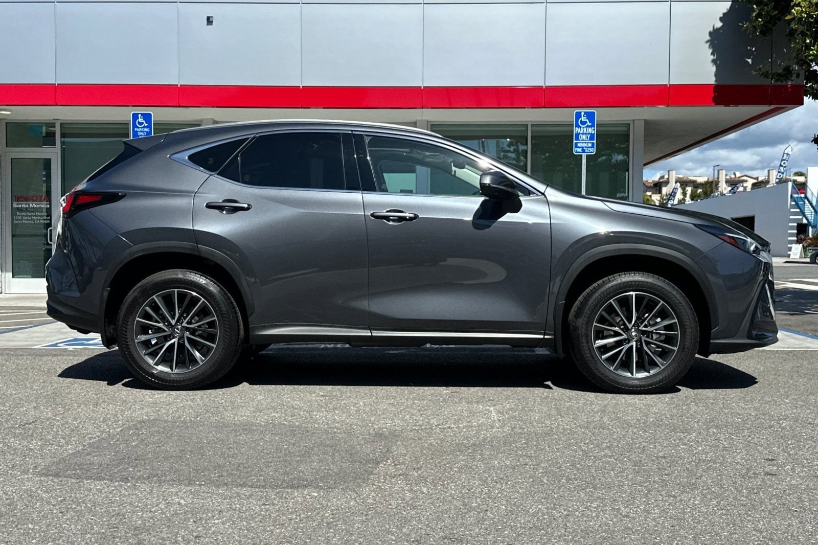 2024 LEXUS NX 350h 350h Premium photo 2